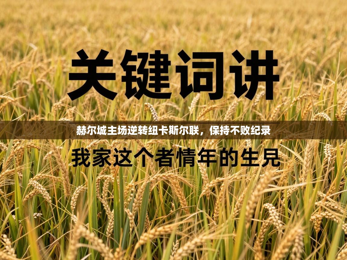 赫尔城主场逆转纽卡斯尔联，保持不败纪录  第1张