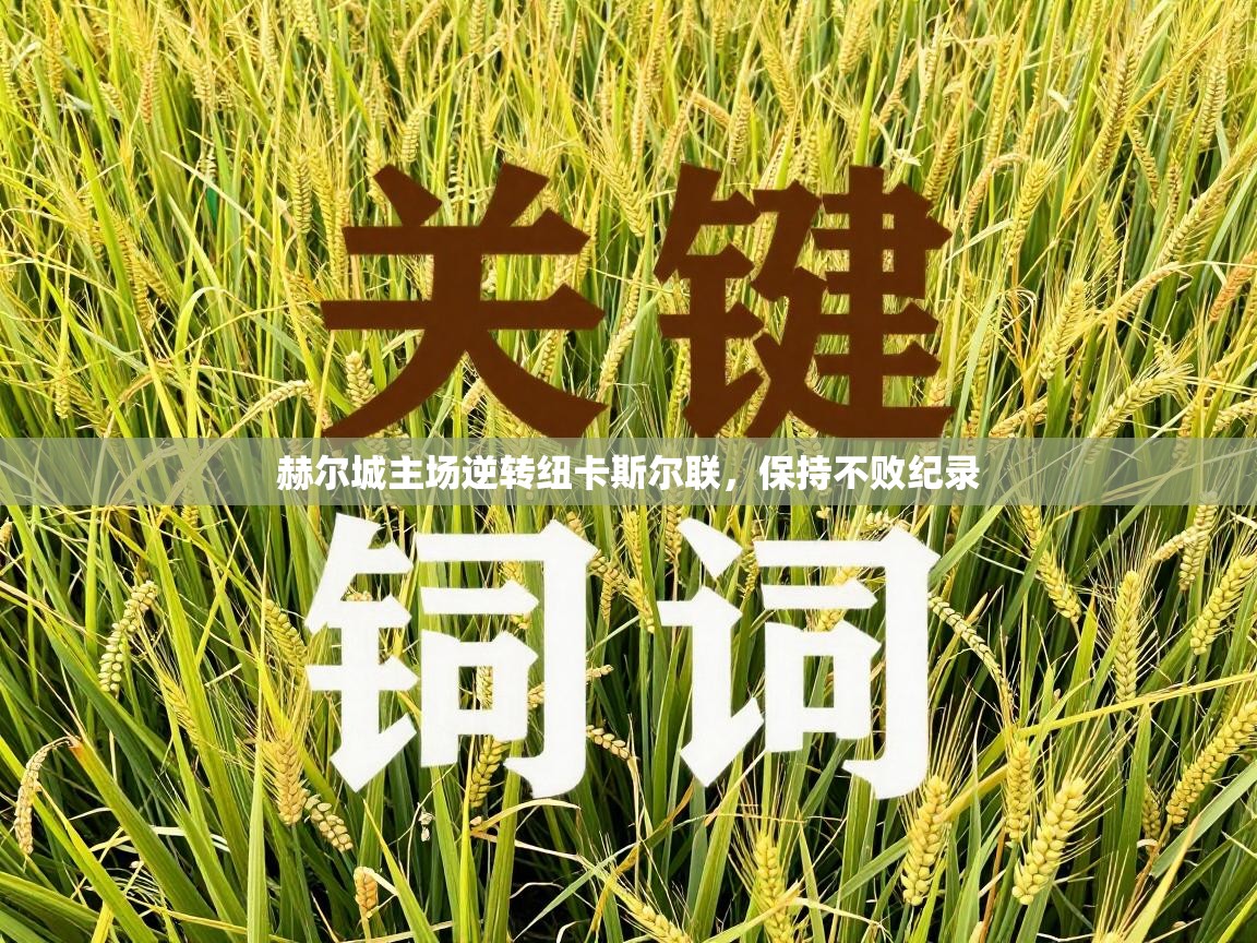 赫尔城主场逆转纽卡斯尔联，保持不败纪录  第2张