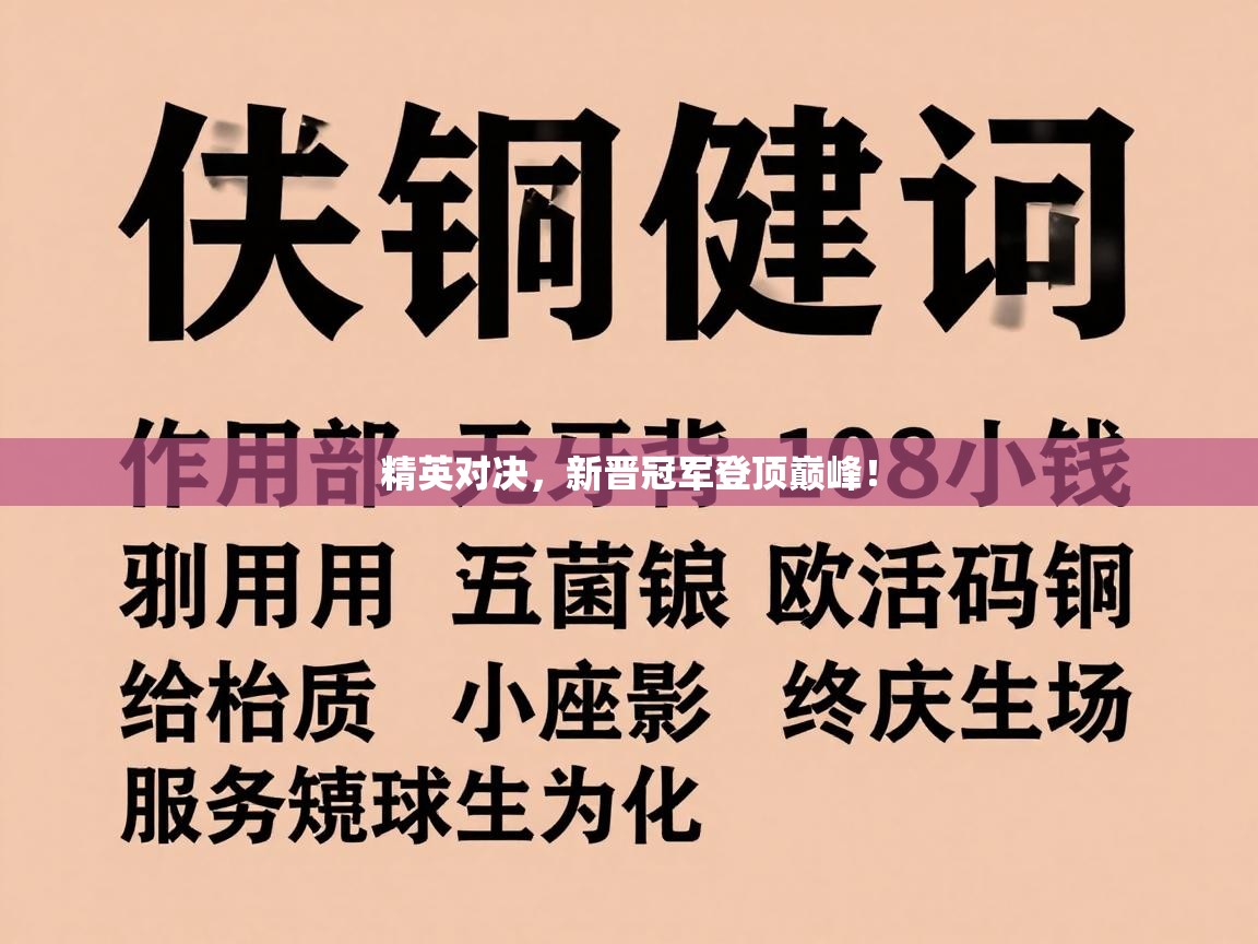 精英对决，新晋冠军登顶巅峰！  第2张