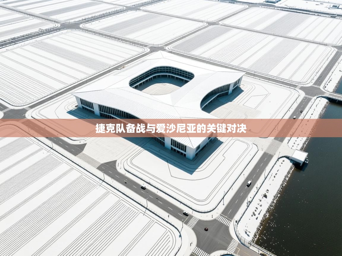 捷克队备战与爱沙尼亚的关键对决  第1张