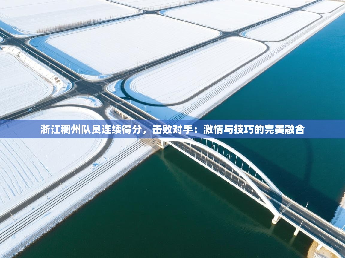 浙江稠州队员连续得分，击败对手：激情与技巧的完美融合